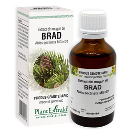 BRAD - Extract din muguri de Brad - Abies pectinata